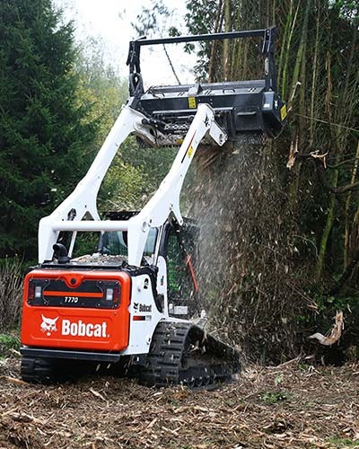 imgi_25_bobcat